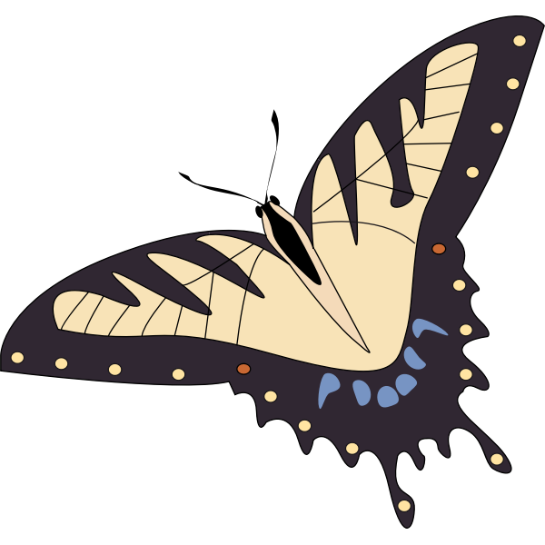 Vector image of tropical butterfly