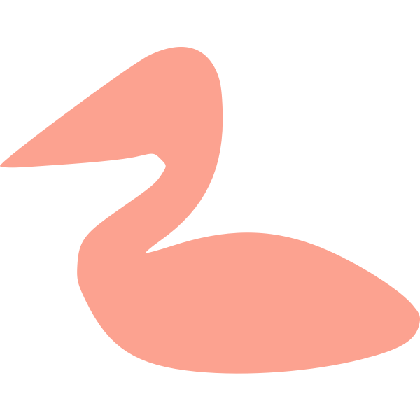 Pink pelican