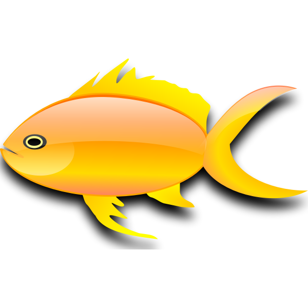 Vector image of glossy gold fish