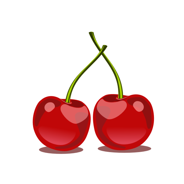 Glossy cherry fruit