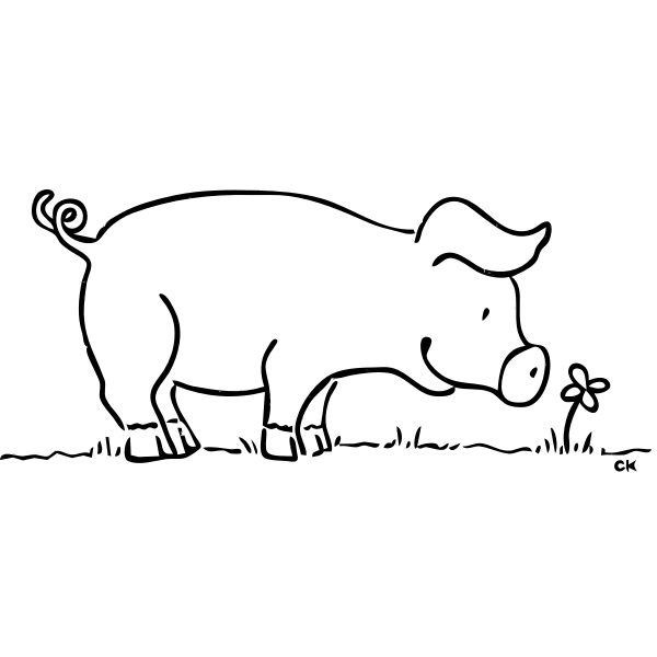 Pig and a flower