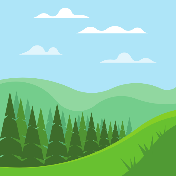 Pine forest in the valley