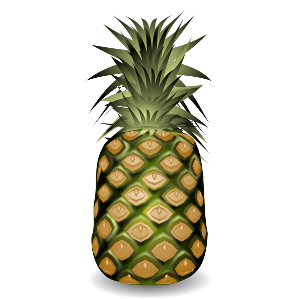 Pineapple fruit