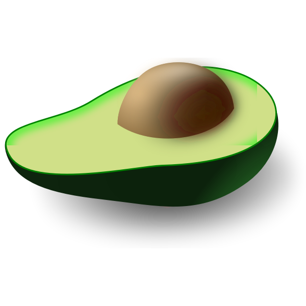 Avocado vector image