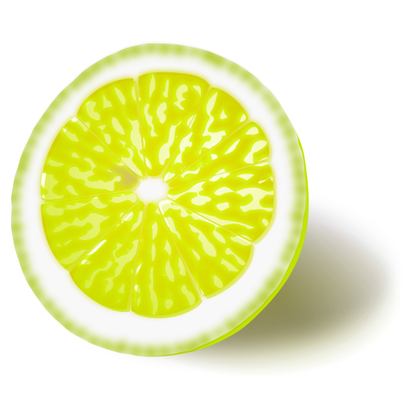 Lemon or lime vector image