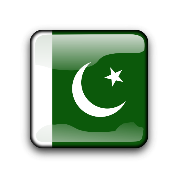 Pakistan vector flag inside square shape