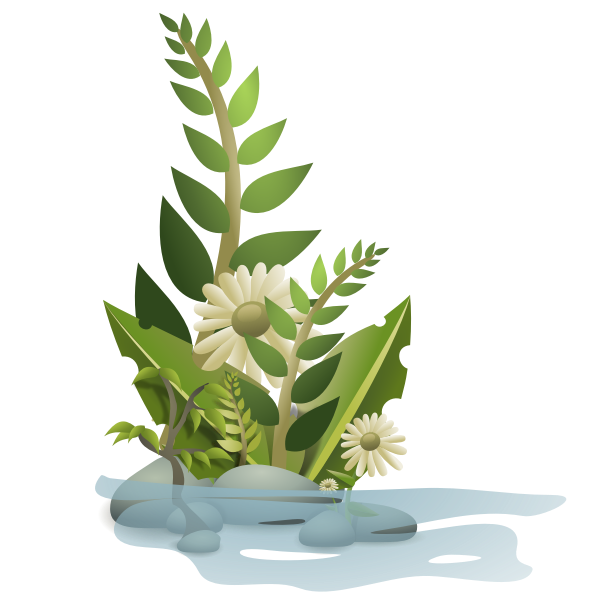 Vector graphics of selection of plants in water