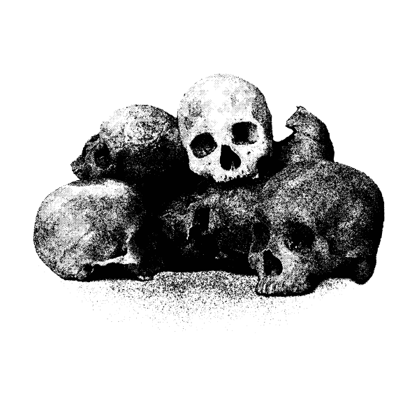 Vector image of bunch of skulls