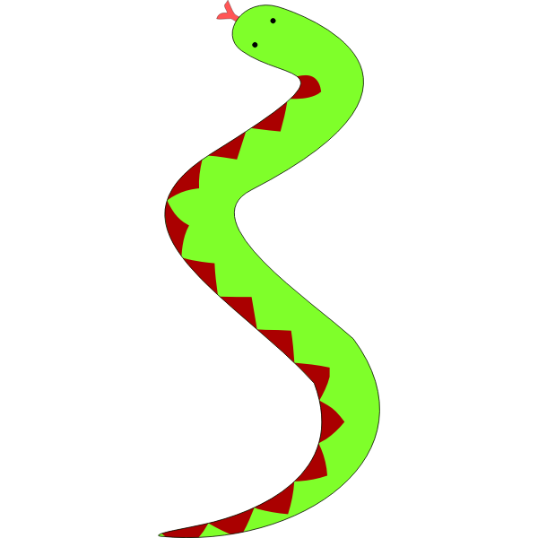 Green snake with red belly