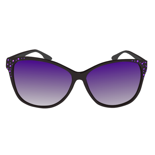 Purple sunglasses vector image