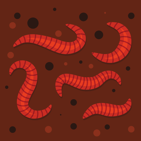 Worms