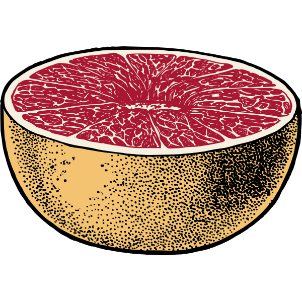 Vector image of red grapefruit cut in half