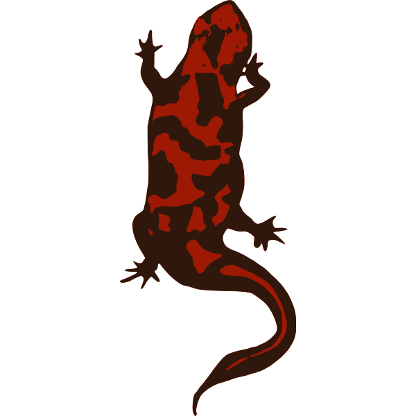 redlizard