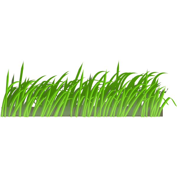 Grass texture-1575459521