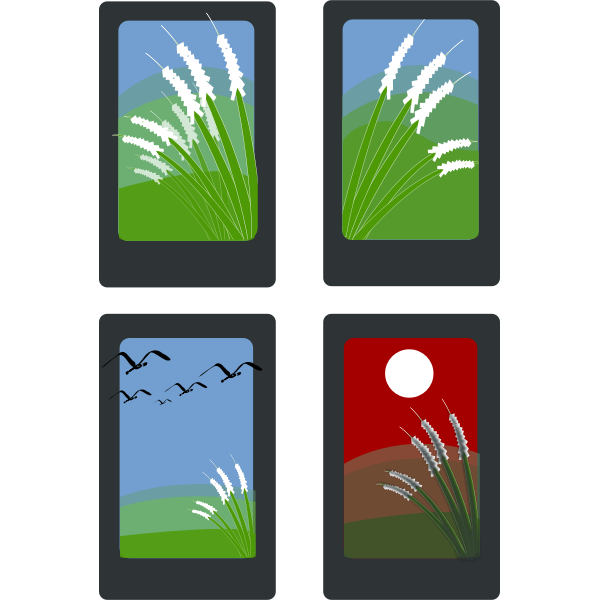 Vector drawing of summer idyll on four cards