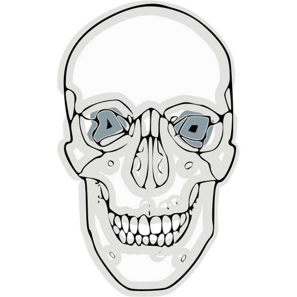 Vector graphics of digitalized human skull