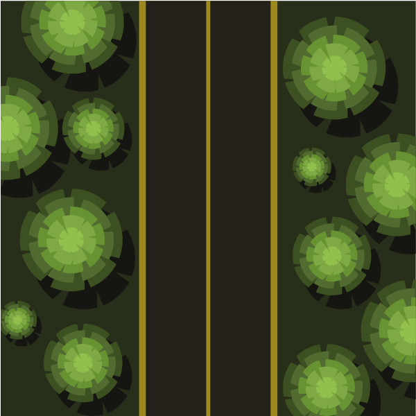 Road in the forest from above