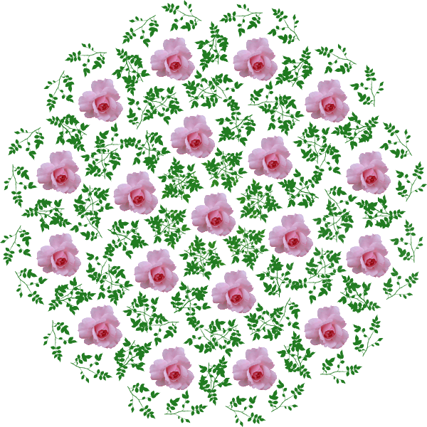 Rose design