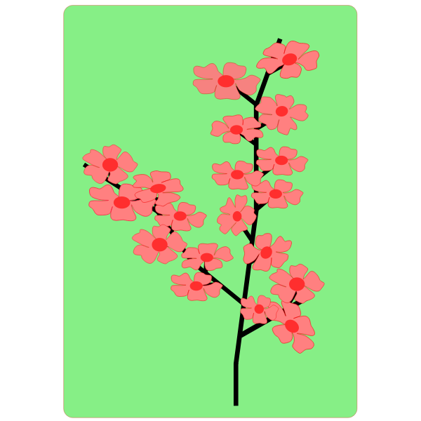 Flower, Flowers, Sakura 