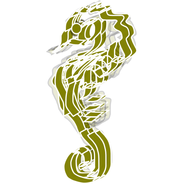 seahorse11