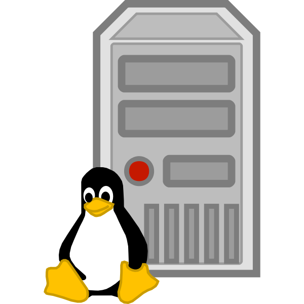 Color vector image of Linux server