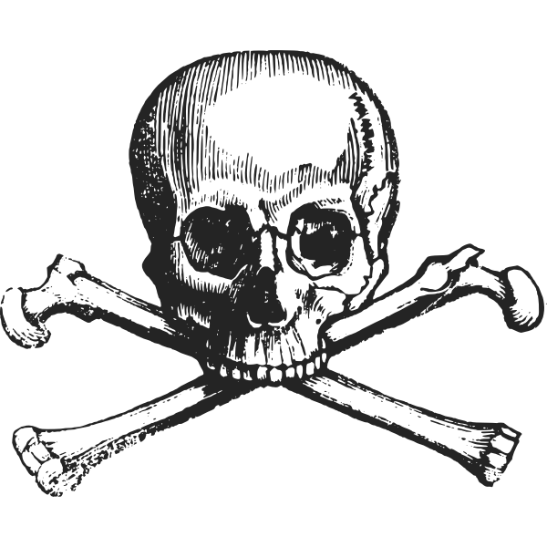 Skull with bones