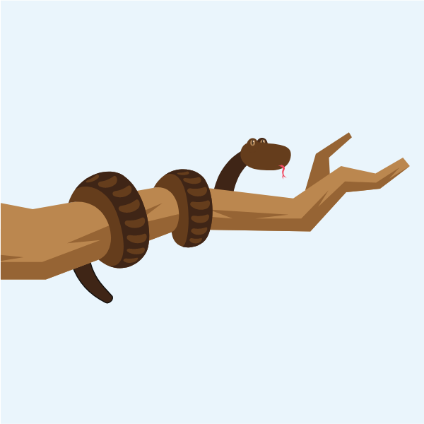 Snake on the branch