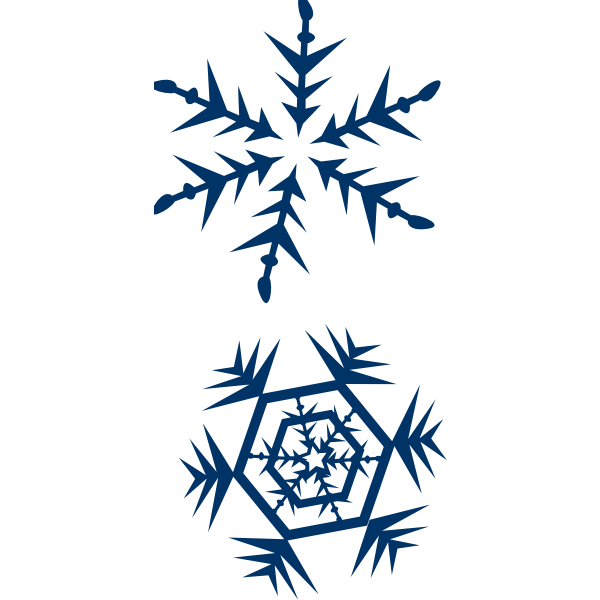 Snowflakes vector image