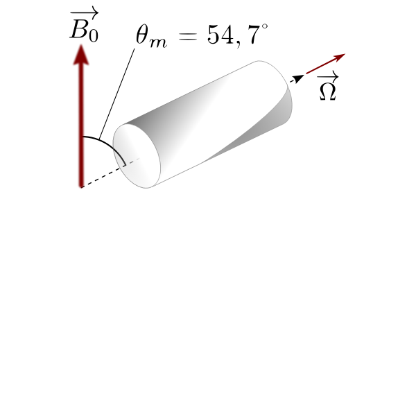 ssNMR spinning rotor