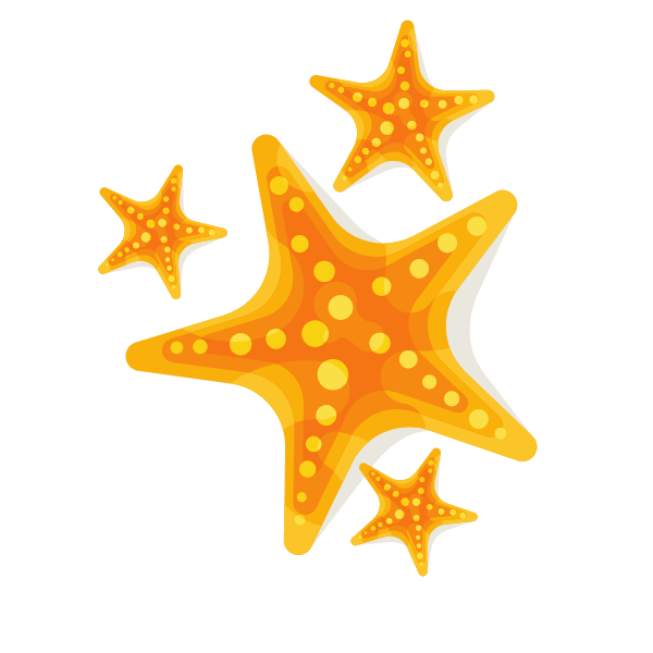 Starfish-1778414600