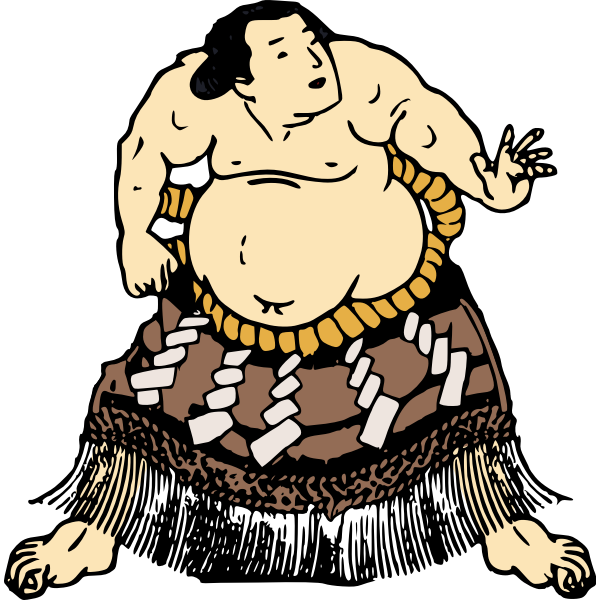 Image of sumo fighter in a skirt