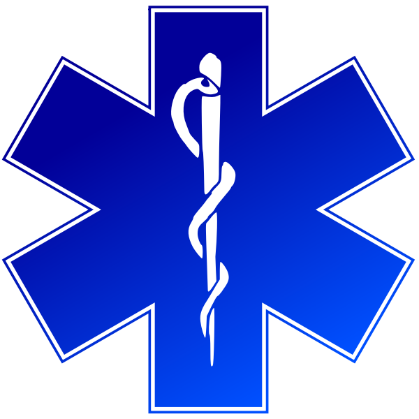 Vector image of emergency medical service