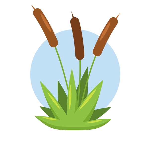 Reed plant