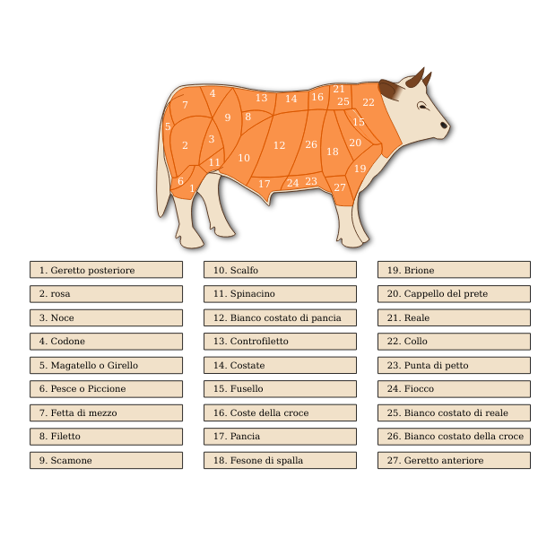 Vector image of beef cuts diagram