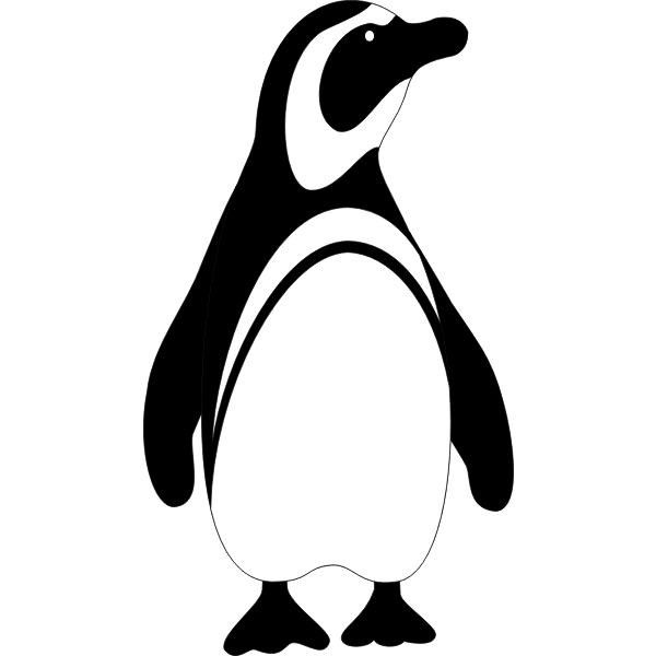 Penguin bird vector