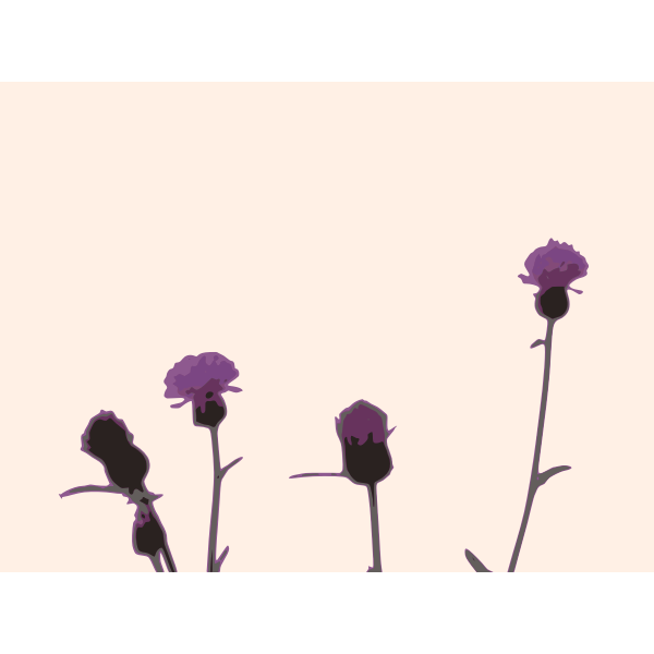 thistle 01