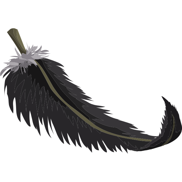 Black quill