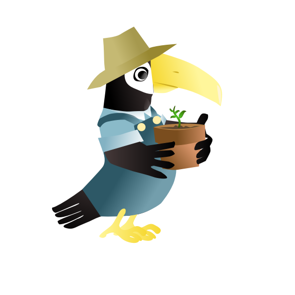 Vector image of parrot with hat