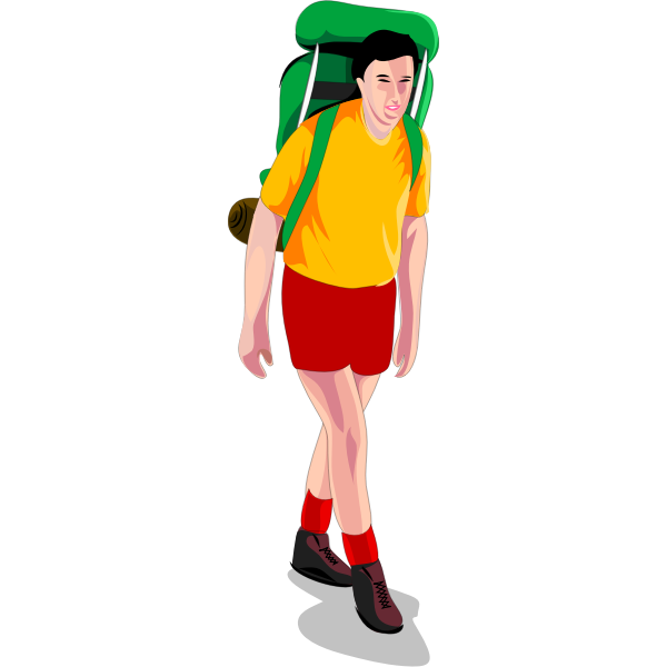 Male trekker vector image