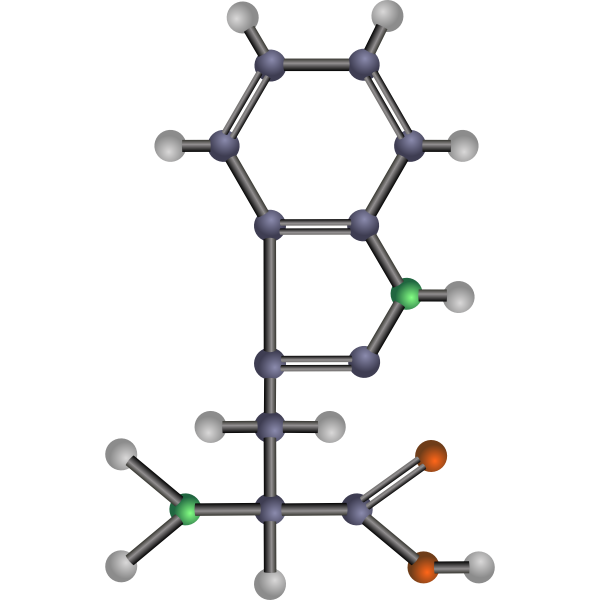 Tryptophan (amino acid)