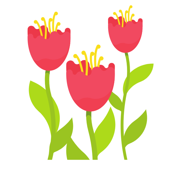 Tulips-1774984019