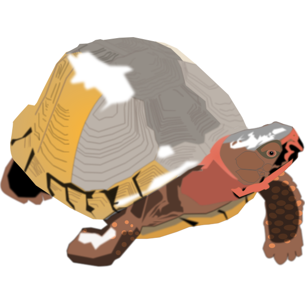 turtle2