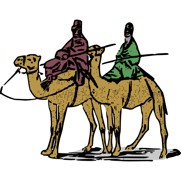 twocamelguys colour