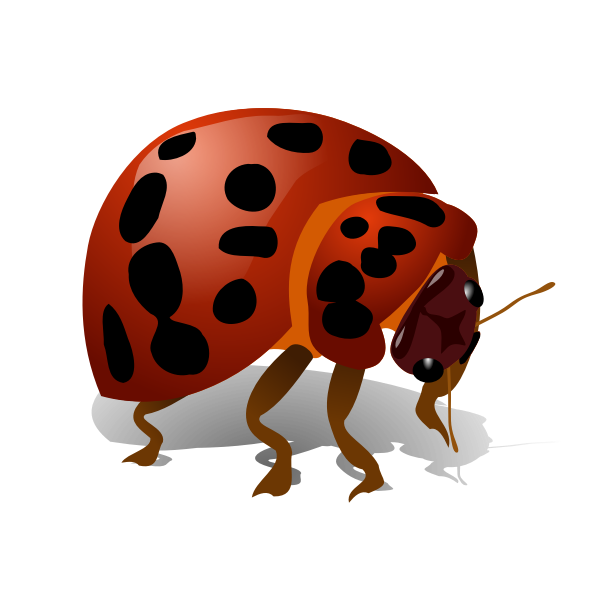 Bug vector