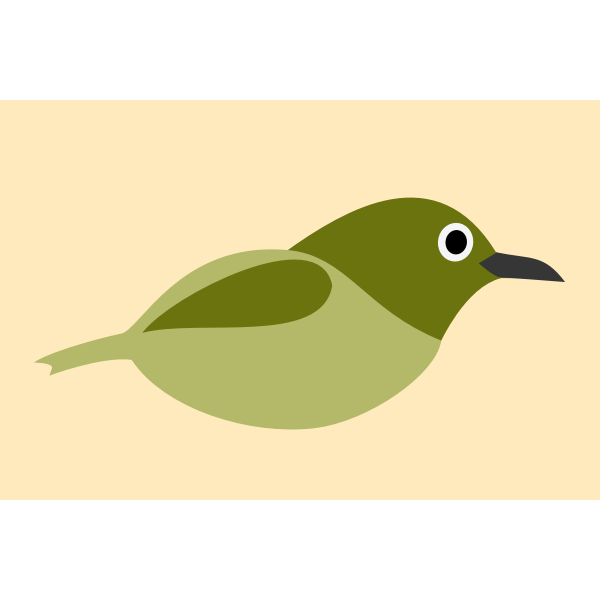 Graphics of white-eyes bird without legs