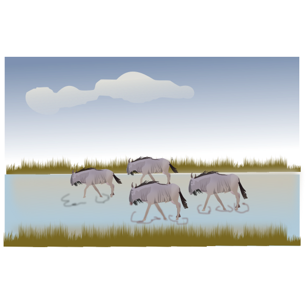 Wildbeest walking through savannah vector illustration