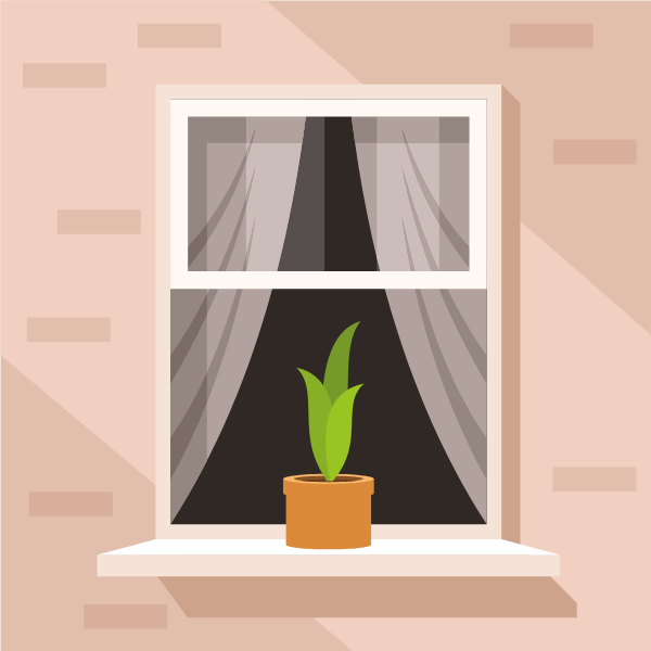 Window with a flower in the pot
