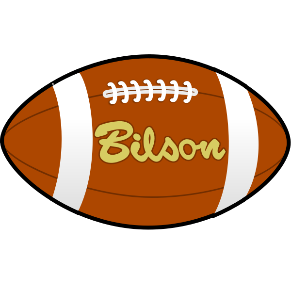 Bilson rugby ball vector image