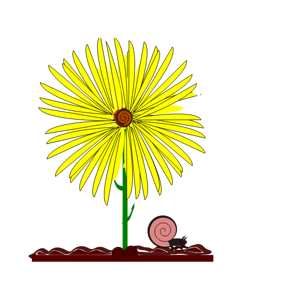 Image of yellow flower and a snail