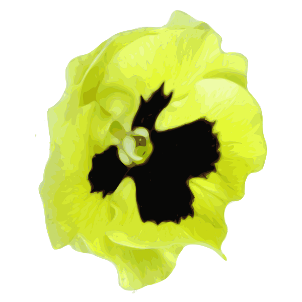 Pansy vector graphics